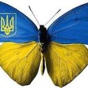 Аватар користувача