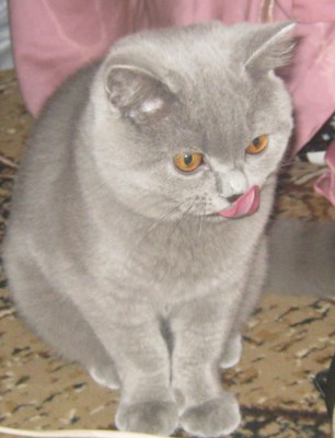 Изображение 465_cr.jpg