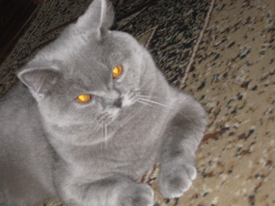 Изображение 540.jpg