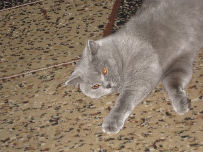 Изображение 542.jpg