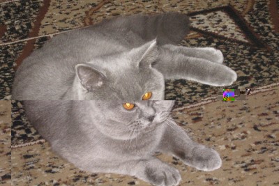 Изображение 543_cr.jpg