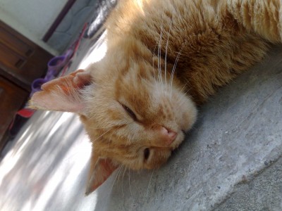 09062012476.jpg