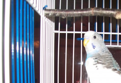 100_1514.JPG