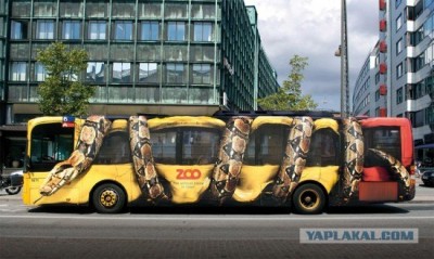 Python Bus.jpg