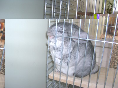 DSCN1948.jpg
