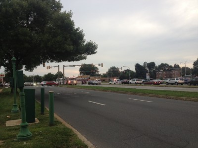 фотография 1 (1).JPG