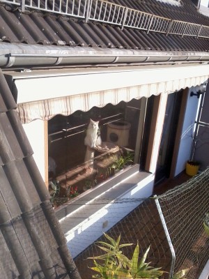 Foto0086.jpg