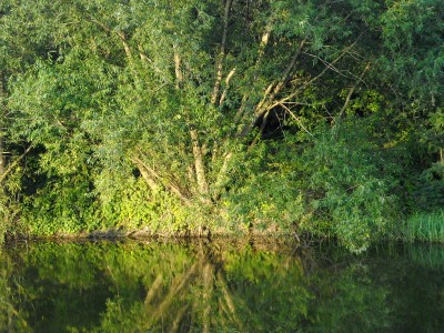 DSCN5048.JPG