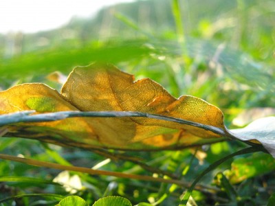 DSCN5046.JPG