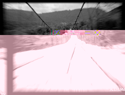 x_b903b722.jpg