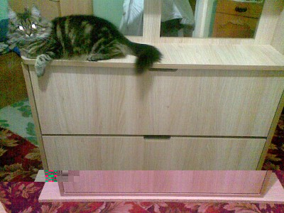 Image(1139).jpg