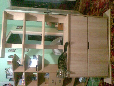 Image(1140).jpg