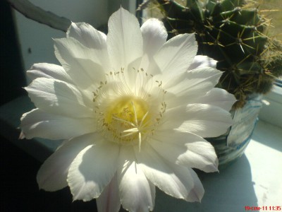 DSC03106.JPG