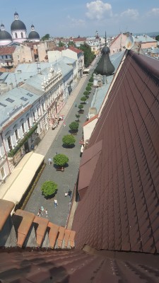 F34760BE-6F5B-4D91-8CC3-E6B1E510E00F.JPG