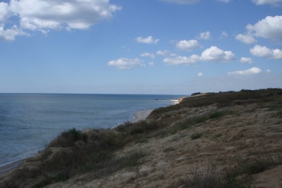 DSC06635.JPG