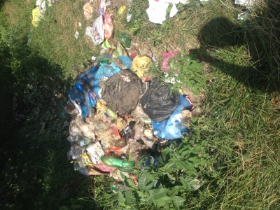 2017-08-05 10-49-06.JPG