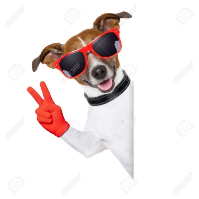 23374023-peace-fingers-dog-with-red-gloves-and-glasses-behind-a-blank--Stock-Photo.jpg