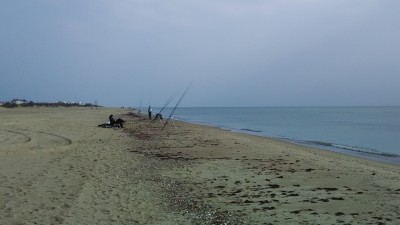 X-B6.jpg
