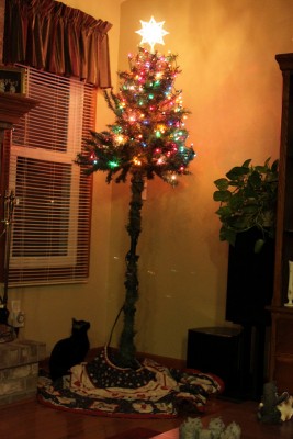 protecting-christmas-tree-from-dogs-cats-pets-5-585a660de18de__605.jpg