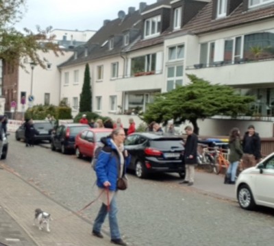 Скриншот 08-02-2019 052609.jpg