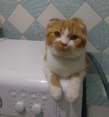 Скриншот 01-01-2019 153045.jpg