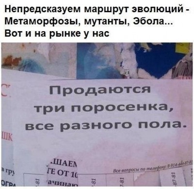 mieKbt_G1ZY.jpg