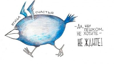 birdhp.jpg