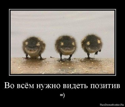 1333992031-vo-vsyom-nuzhno-videt-pozitiv.jpg