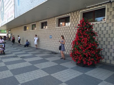 photo_2019-08-21_22-02-56_А ЁЛКИ ГДЕ.jpg