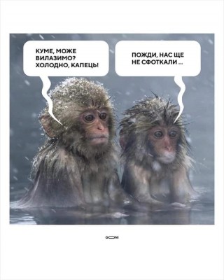 изображение_viber_2020-01-20_14-36-54.jpg