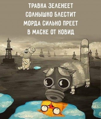 FB_IMG_1589785366444.jpg