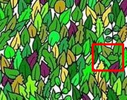 Screenshot_3.jpg