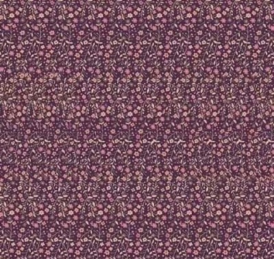 116906209_3188119214637349_8469971354307271926_n.jpg