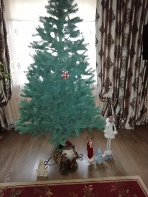 IMG_20201208_145637.jpg