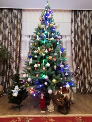 IMG_20201209_182107.jpg