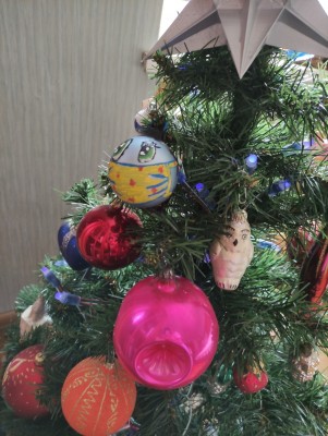 IMG_20201231_104511.jpg