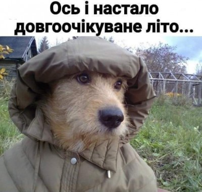 FB_IMG_1622540689063.jpg