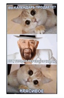image.jpeg