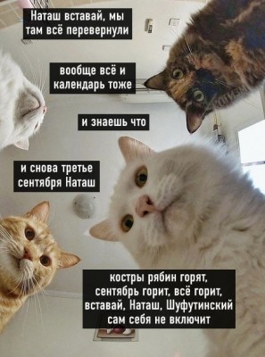 изображение_viber_2021-09-03_13-31-22-846.jpg