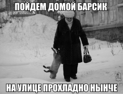 197795_original.jpg