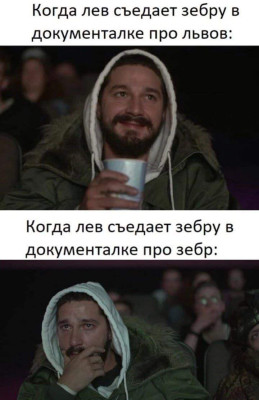 FB_IMG_1680979163692.jpg