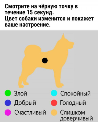 03242f8ab487564a54ce986fb4f363be37acd2a8e2.jpg