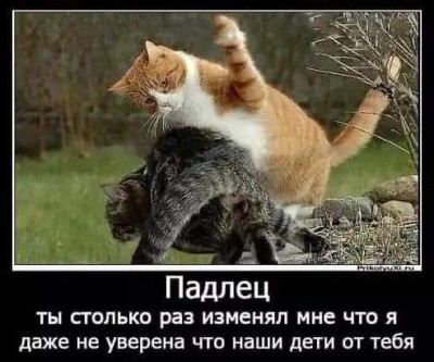 FB_IMG_1693297817596.jpg