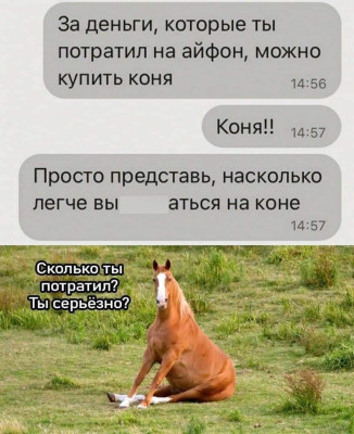 FB_IMG_1697038669178.jpg