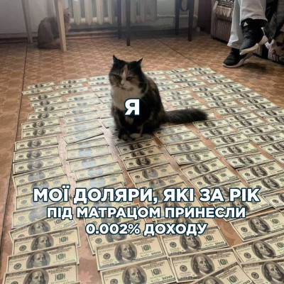 FB_IMG_1759838188402.jpg